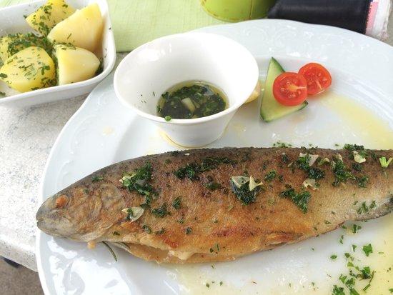 Seerestaurant Bad Stich