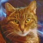 Kultur-Wirzhaus Zur Ewigen Ruh