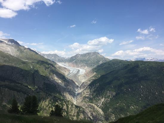 Sitzplatze Restaurant