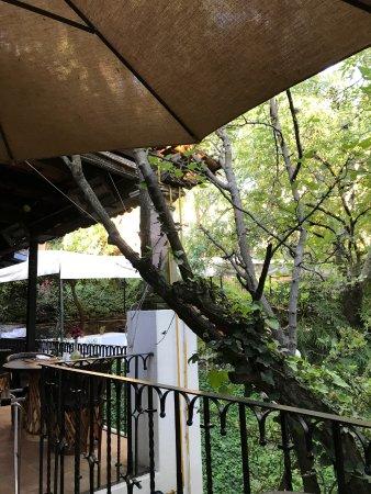 Restaurante La Puertecita