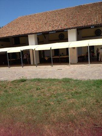 Agriturismo Pioltino