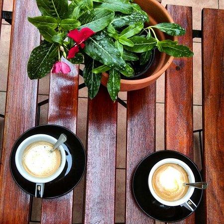 Vege & Vegan organic food