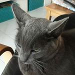 Pizza Kebab Sandwicherie le 24