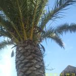 Subway Sandwiches and Salads