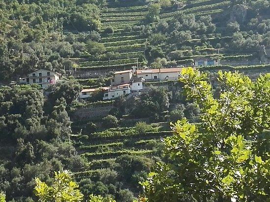 Serafina Agriturismo