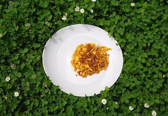 Agriturismo Casa Selene