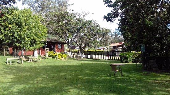 Restaurante Amazonas