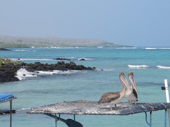 Malecon de Puerto Ayora