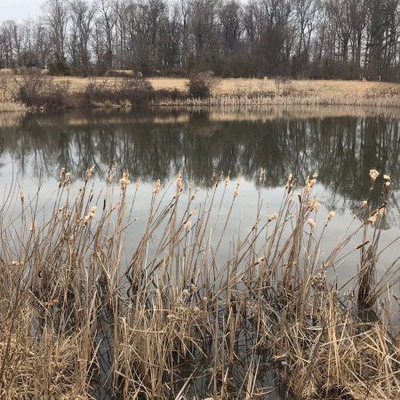 Clarks Creek Nature Preserve