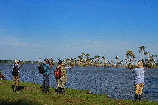 la Fundación Cunaguaro