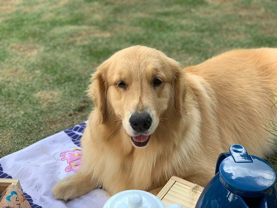 Agroturismo Valentim