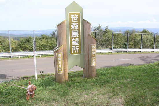 Sasaki Observation Deck