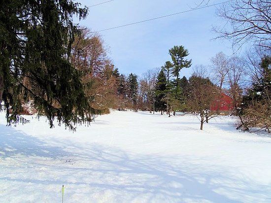 D.F. Buchmiller County Park