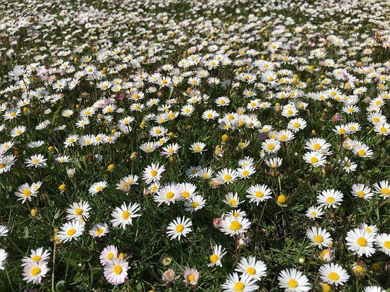 Evangelische Inselkirche