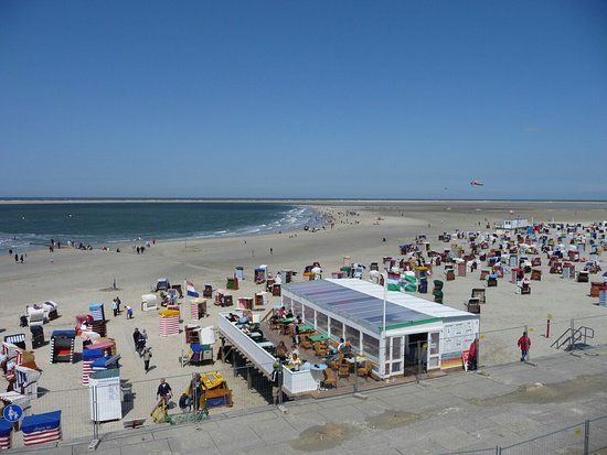 Seehundbank auf Borkum