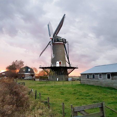 Molen De Nijverheid