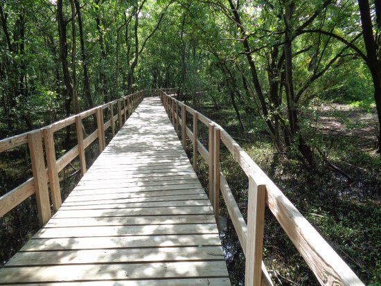 Manglares De Old Point National Park