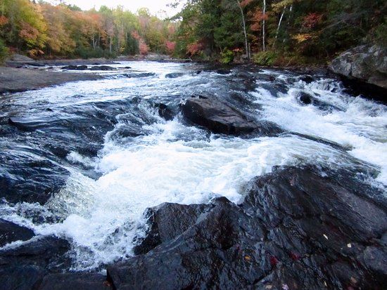 Oxtongue Rapids Park