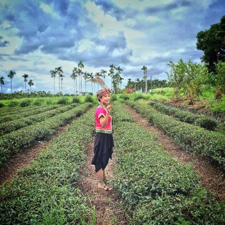 Wuhe Cha Yuan Princess Coffee