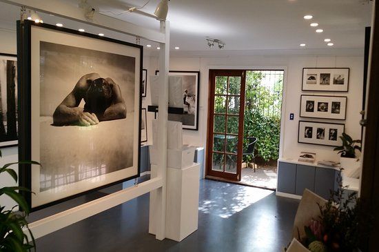 Light & Shadow Fine Art Gallery