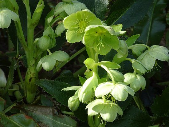 Buitenplaats&Tuinpaviljoen Wildhoef
