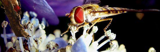 Natuurcentrum De Specht