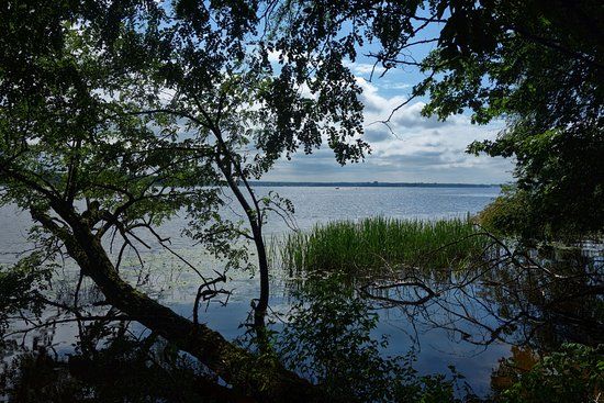 Rezerwat Przyrody Wąwóz Szaniawskiego