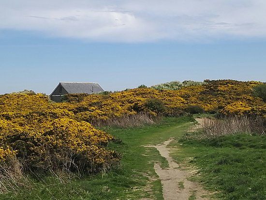 Newburgh Seals Beach