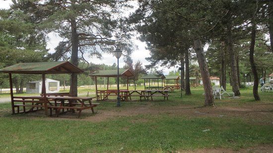 Sehit Serifebaci Tabiat Parki