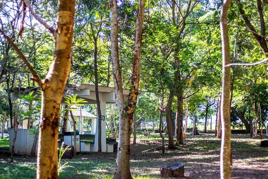 Horto Florestal Sergio Ramalho Matta