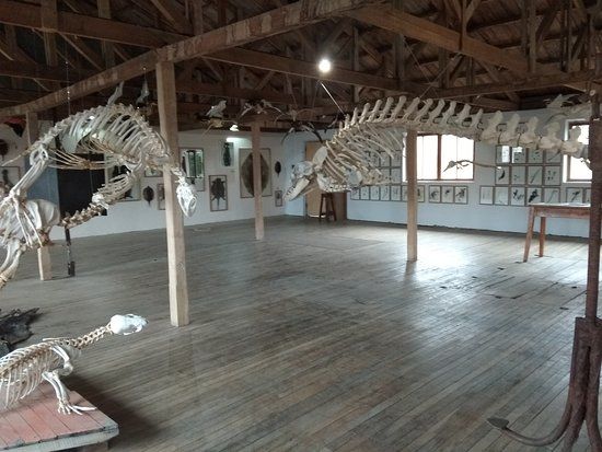 Museo de Historia Natural Rio Seco