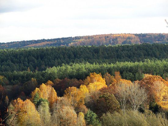 Verkiai Regional Park