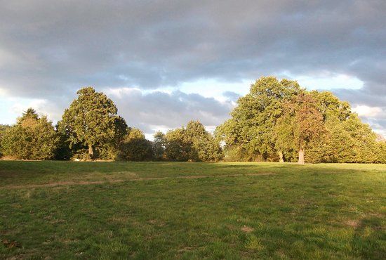 Timeline Ampitheatre