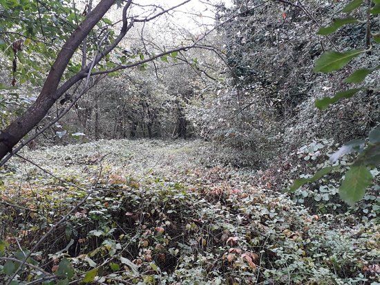 Oasi WWF San Giuliano Milanese