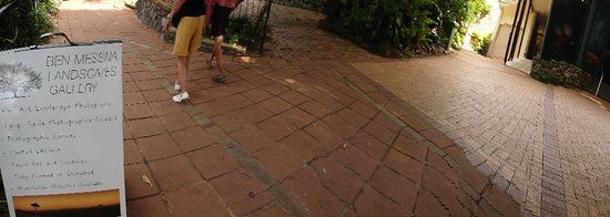 Ben Messina Landscapes Gallery