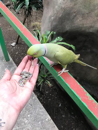 Parque Regional Metropolitano