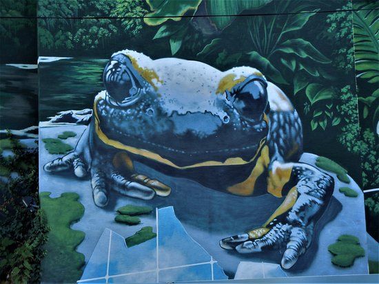 Fresque "Le crapaud"