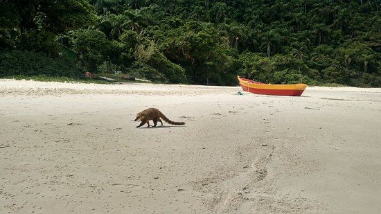 Escape Experiencia Turisticas