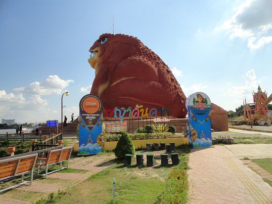 The Toad Museum
