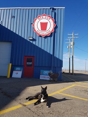 Red Cup Distillery