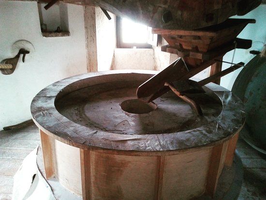 Moinhos vivos Palmela