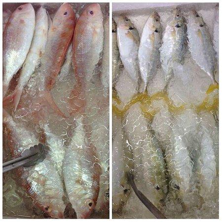 Selera Dapur Arang 2