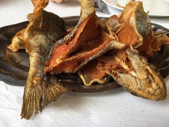 Merendero Molino Del Alba