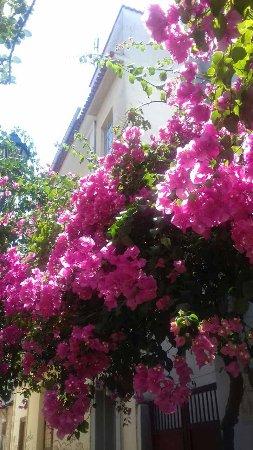 Taverna to Paleo Archontiko