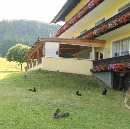 Hotel-Restaurant Schneeweiss