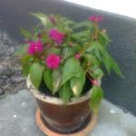 Columbus Coffee Broadway