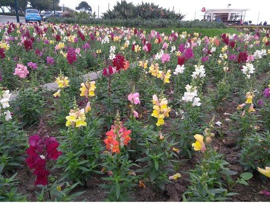 Beso Frances Creperia