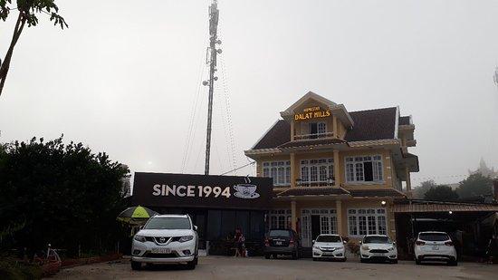 HP Since 1994 Coffee