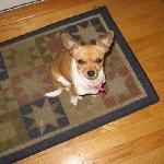 restaurant Amper Villa