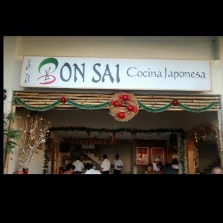 Bon sai